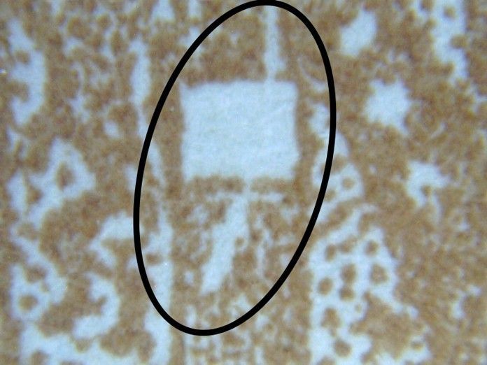 S20220326_0010a